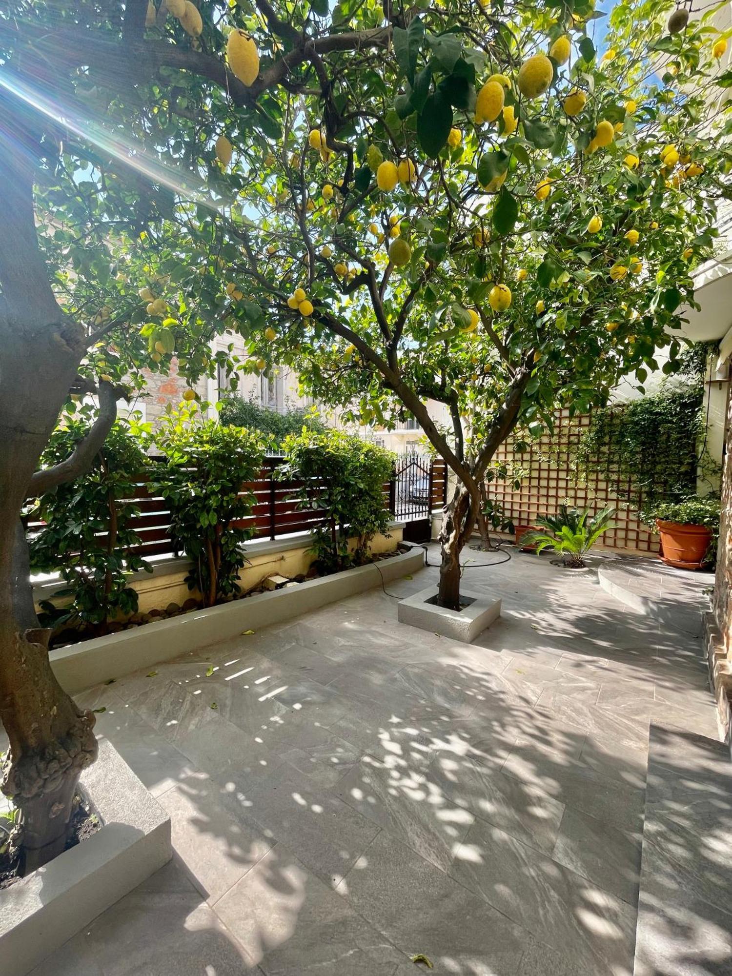Magnolia Residence Μυτιλήνη Εξωτερικό φωτογραφία